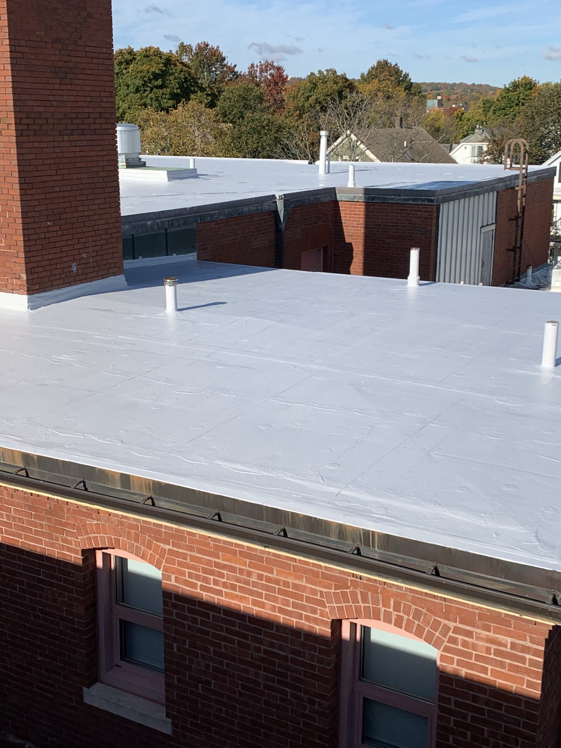 White-coated flat roof edge adjacent to a brick wall, showing clean flashing and seams.